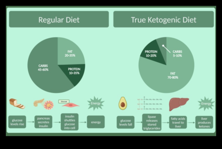 Düşük Karbonhidratlı Diyetlerin Metabolizma Üzerindeki Etkisi