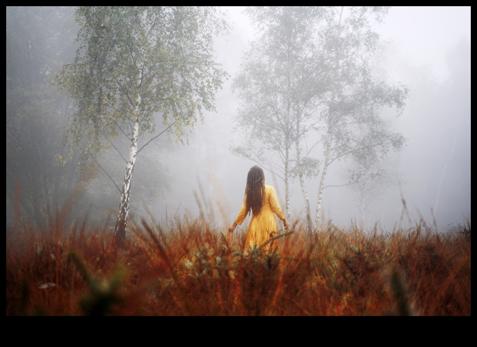 Ethereal Explorations: Doğa Fotoğrafçılığında Öteki Dünya Sahneleri